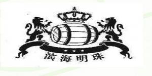 滨海明珠品牌logo