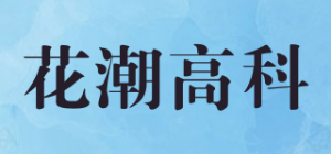 花潮高科Hochoice品牌logo