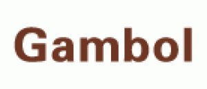 渡边Gambol品牌logo