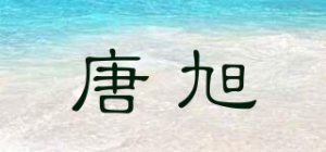 唐旭Z．T．Sun品牌logo