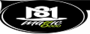 黑老虎品牌logo