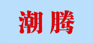 潮腾品牌logo