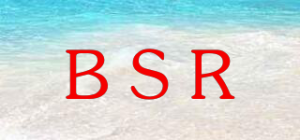 BSR品牌logo