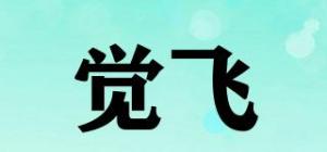 觉飞品牌logo