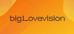 bigLovevision品牌logo