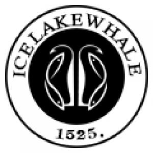冰湖鲸ICELAKEWHALE品牌logo