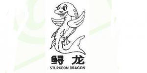 鲟龙Sturgeon Dragon品牌logo