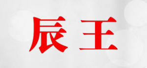 辰王品牌logo