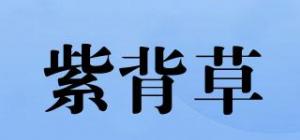 紫背草品牌logo