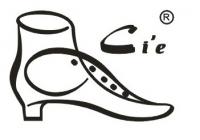 cie品牌logo
