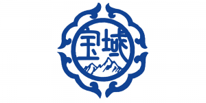 宝域品牌logo