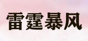 雷霆暴风品牌logo