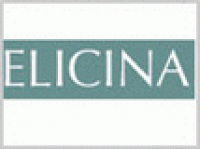 爱俐思娜品牌logo