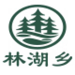 林湖乡品牌logo