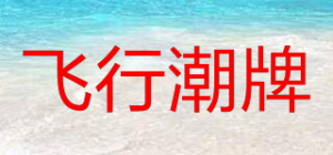 飞行潮牌VIP品牌logo