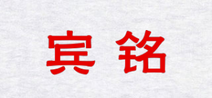 宾铭bnving品牌logo