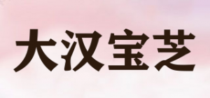 大汉宝芝品牌logo