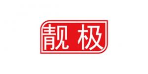 靓极品牌logo