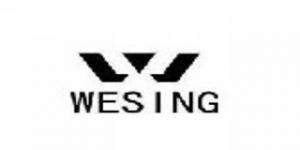 伟之英Wesing品牌logo