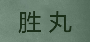 胜丸KACHITANY品牌logo
