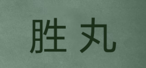 胜丸品牌logo