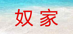 奴家品牌logo