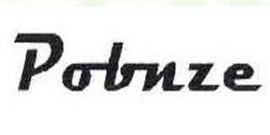 破冰者Pobnze品牌logo