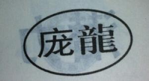 庞龙品牌logo