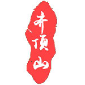齐顶山品牌logo