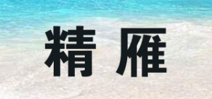 精雁品牌logo