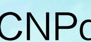 CNPq品牌logo