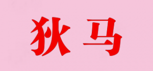 狄马品牌logo