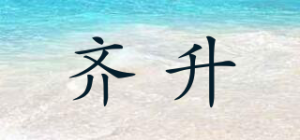 齐升品牌logo