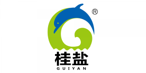桂盐品牌logo
