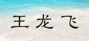 王龙飞品牌logo