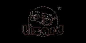 科迈龙Lizard品牌logo