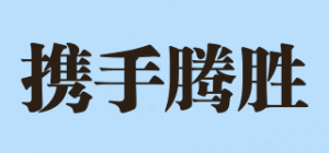 携手腾胜品牌logo