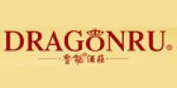 dragonru品牌logo