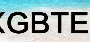 XGBTEL品牌logo