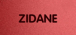 ZIDANE品牌logo