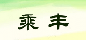 乘丰TAKE FENG品牌logo