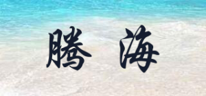 腾海品牌logo