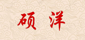 硕洋SUOYOUNG品牌logo