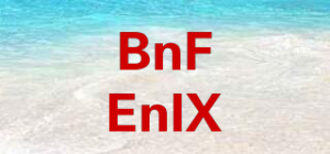 BnFEnIX品牌logo