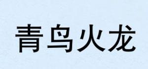 青鸟火龙品牌logo