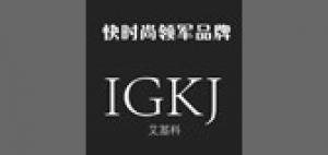 艾基科IGKJ品牌logo