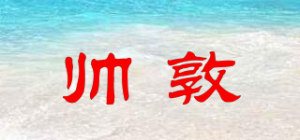 帅敦品牌logo