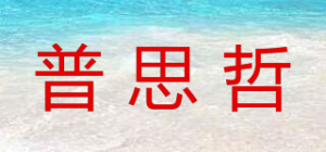 普思哲品牌logo