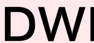 DWI品牌logo