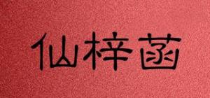 仙梓菡品牌logo